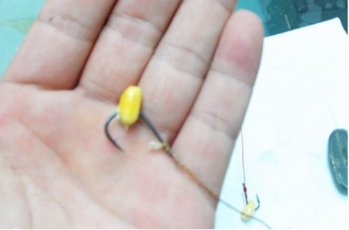 深秋钓鲫鱼有口不上钩怎么办_WWW.YUJUCEPING.COM