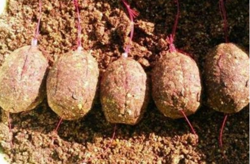 深秋抛竿用的糟食配方_WWW.YUJUCEPING.COM