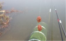 传统钓怎么逗钓鲫鱼