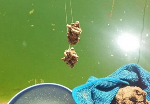 包食钓的具体步骤是什么_WWW.YUJUCEPING.COM