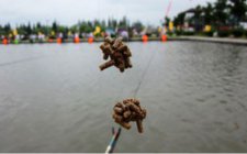 黑坑怎样调漂技巧