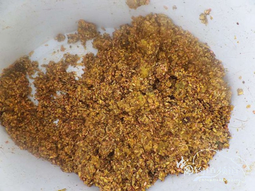 常用鱼饵种类_WWW.YUJUCEPING.COM