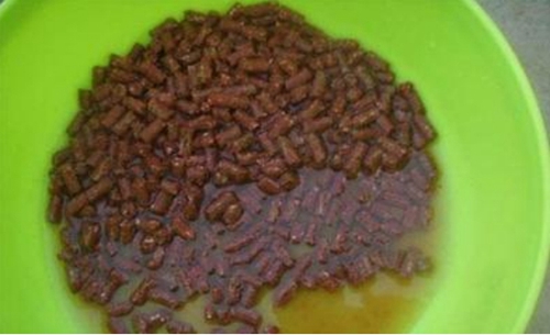 颗粒饵的使用方法有哪些_WWW.YUJUCEPING.COM