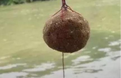 颗粒饵的使用方法有哪些_WWW.YUJUCEPING.COM