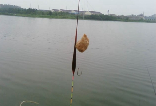 钓鲢鳙的装备有哪些_WWW.YUJUCEPING.COM