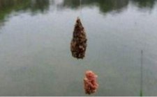钓浮怎么调整浮漂