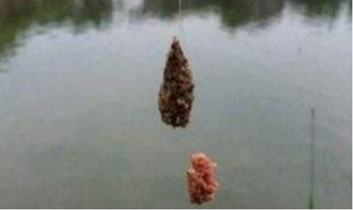 钓浮怎么调整浮漂_WWW.YUJUCEPING.COM