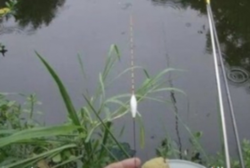 浮漂吃水的原因 怎么解决_WWW.YUJUCEPING.COM