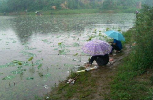 雨天怎么选择钓点_WWW.YUJUCEPING.COM