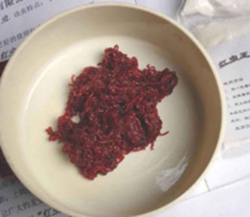 红虫是什么 红虫怎么挂钩_WWW.YUJUCEPING.COM