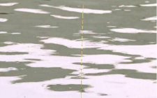 浮漂走水是什么