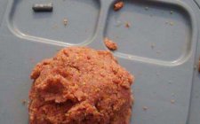 黑坑钓罗非的窝料 饵料选择技巧