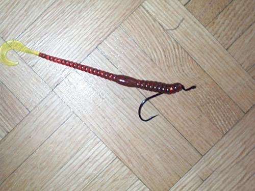 路亚面包虫的介绍_WWW.YUJUCEPING.COM