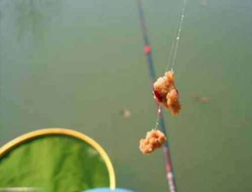 在刮风天气怎么作钓_WWW.YUJUCEPING.COM