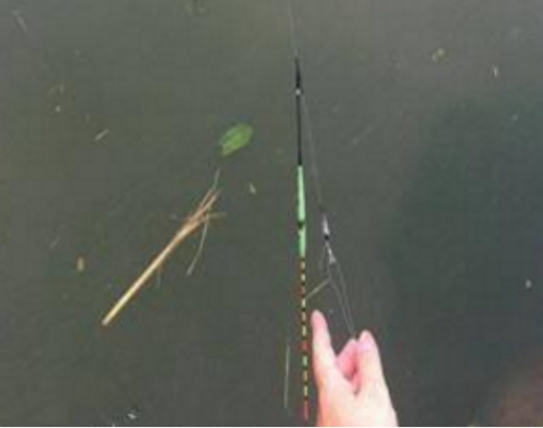浮漂归零点是什么意思_WWW.YUJUCEPING.COM