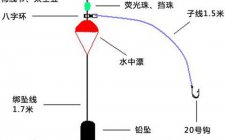 海钓鲈鱼的常见钓组图解