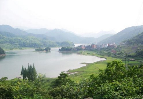 水库钓鲤鱼最佳钓位有哪些_WWW.YUJUCEPING.COM