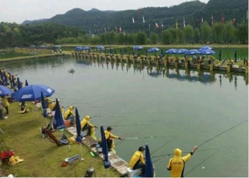 黑坑钓回锅鲤鱼调漂方法_WWW.YUJUCEPING.COM