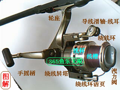 什么是绕线轮_WWW.YUJUCEPING.COM