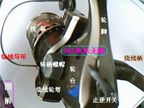 什么是绕线轮_WWW.YUJUCEPING.COM