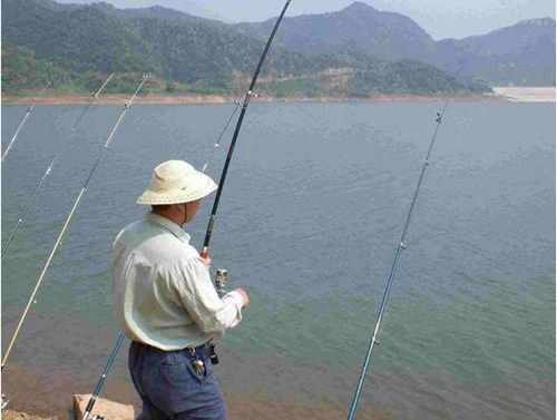 什么时候钓灵什么时候钓钝_WWW.YUJUCEPING.COM