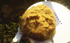 怎么调整饵料的状态