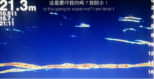 筏钓探鱼器使用方法_WWW.YUJUCEPING.COM