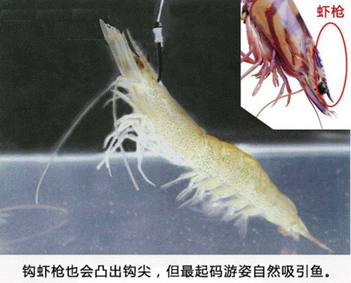筏钓翘嘴技巧_WWW.YUJUCEPING.COM