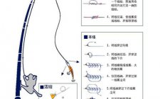 路亚线组组装图解