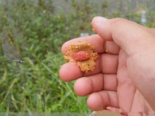 钓鱼秘诀钓饵诱饵合一_WWW.YUJUCEPING.COM