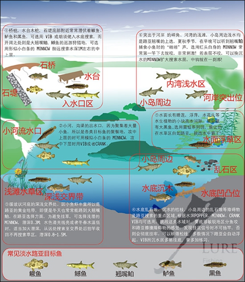 路亚标点怎么选择图解_WWW.YUJUCEPING.COM