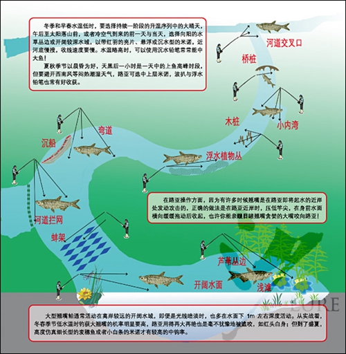 路亚标点怎么选择图解_WWW.YUJUCEPING.COM