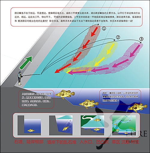 路亚标点怎么选择图解_WWW.YUJUCEPING.COM