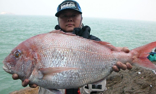 路亚对象鱼有哪些_WWW.YUJUCEPING.COM