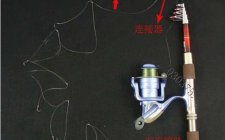 抛竿钓线组组装图解