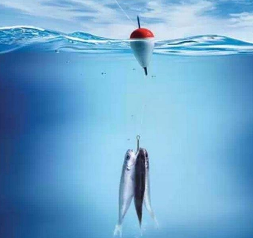 抛竿浮钓鲢鳙要注意哪些_WWW.YUJUCEPING.COM