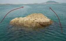 浮游矶钓钓点选择技巧