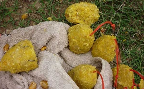 玉米饵料配方大全自制_WWW.YUJUCEPING.COM