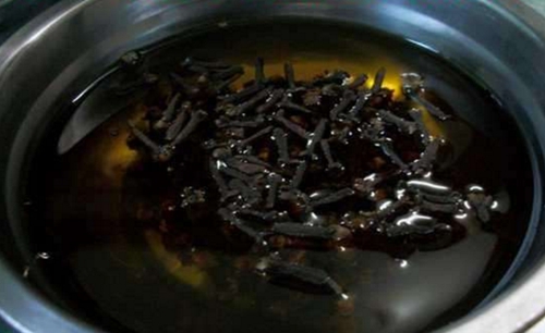 钓鱼小药丁香的使用方法_WWW.YUJUCEPING.COM