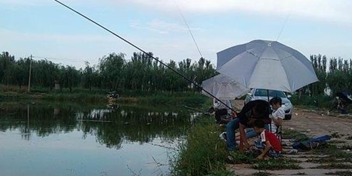 黑坑钓鱼钓位选择技巧_WWW.YUJUCEPING.COM
