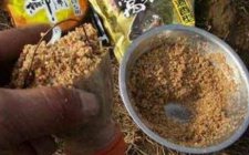 钓嘎鱼用什么打窝
