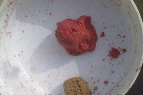 传统钓用什么饵好_WWW.YUJUCEPING.COM