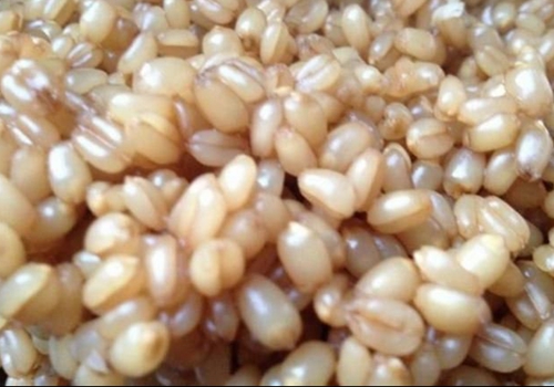 传统钓用什么饵好_WWW.YUJUCEPING.COM