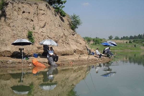 洄游是什么_WWW.YUJUCEPING.COM