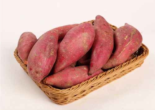 钓鱼自制红薯饵料的步骤_WWW.YUJUCEPING.COM