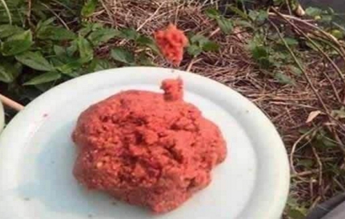 面饵是什么_WWW.YUJUCEPING.COM