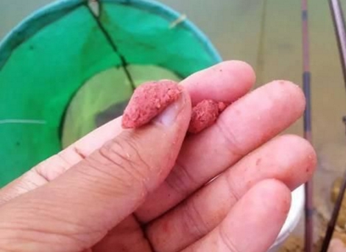 涮饵是什么_WWW.YUJUCEPING.COM