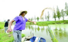 钓鱼打重窝是什么意思