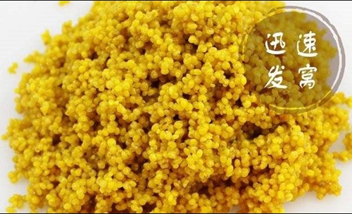 初冬钓鲫鱼用什么饵料好_WWW.YUJUCEPING.COM