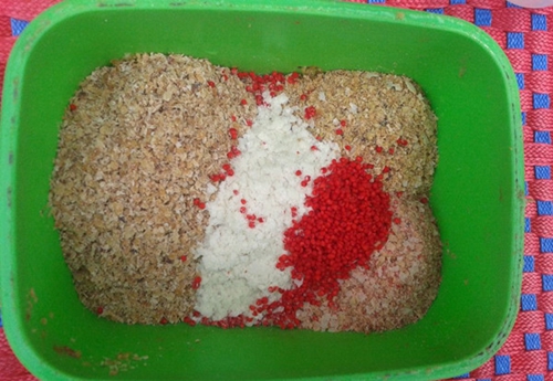 初冬钓鲫鱼用什么饵料好_WWW.YUJUCEPING.COM